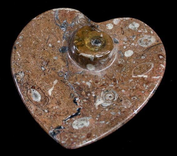 Heart Shaped Fossil Goniatite Dish #8871